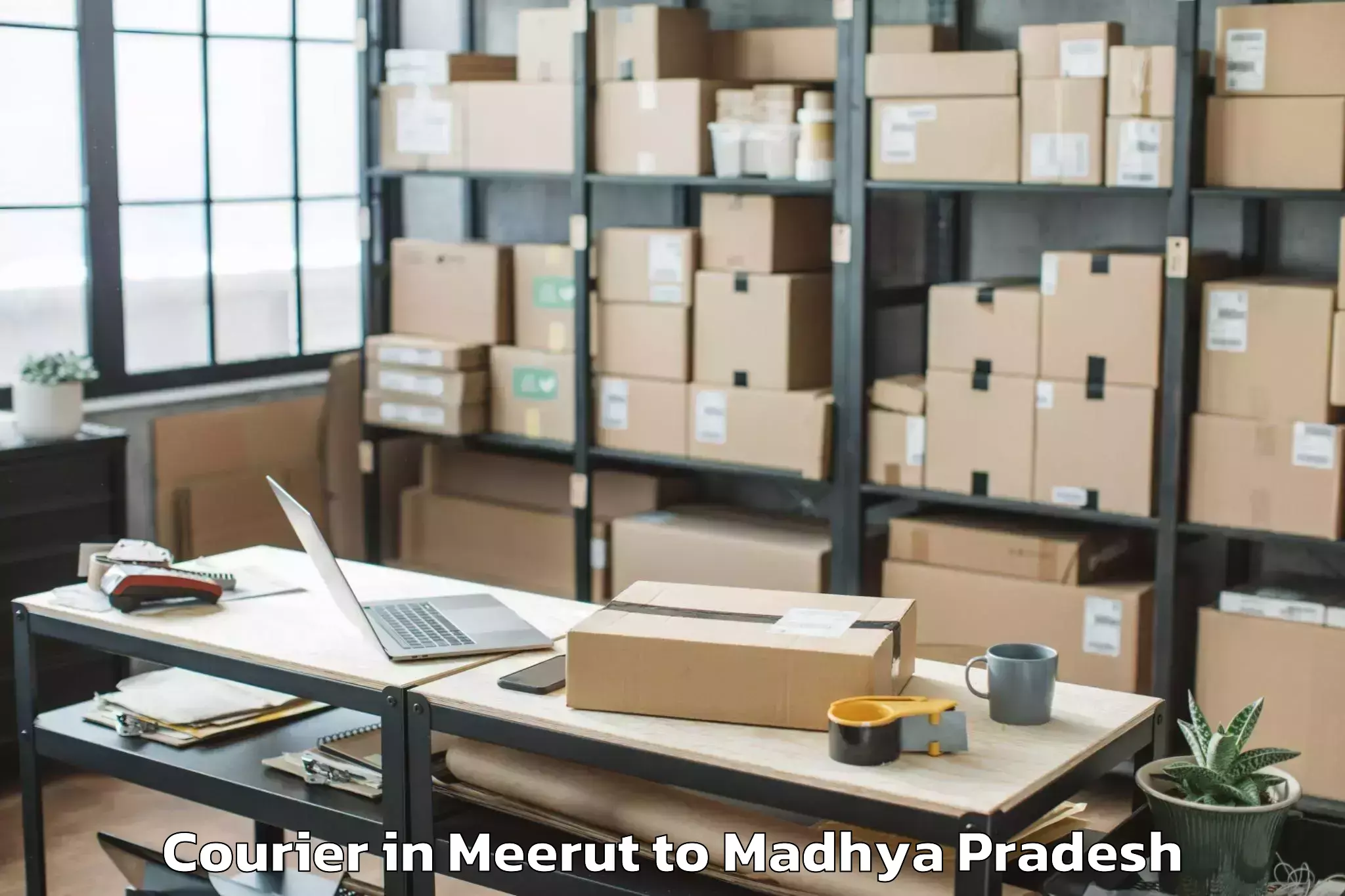 Quality Meerut to Dabra Pichhore Courier